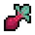 Beet
