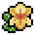 Daffodil