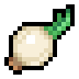 Onion