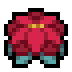 Poinsettia