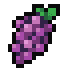 Wild Grapes